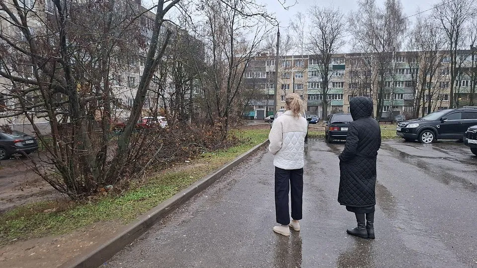 Фото:  пресс-служба Администрации г.о. Чехов