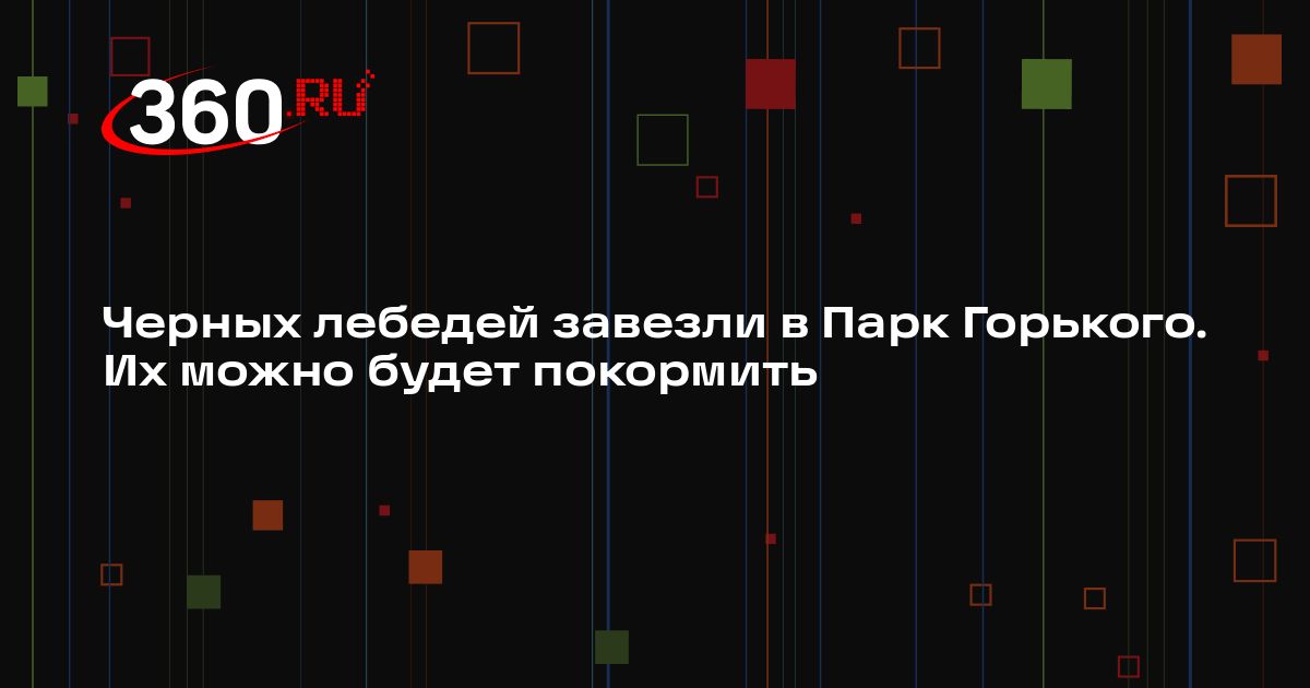 360tv.ru