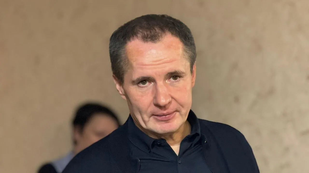 Губернатор Белгородской области Вячеслав Гладков / Telegram