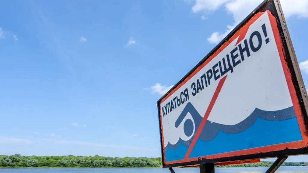 Фото: пресс-служба администрации г. о. Кашира