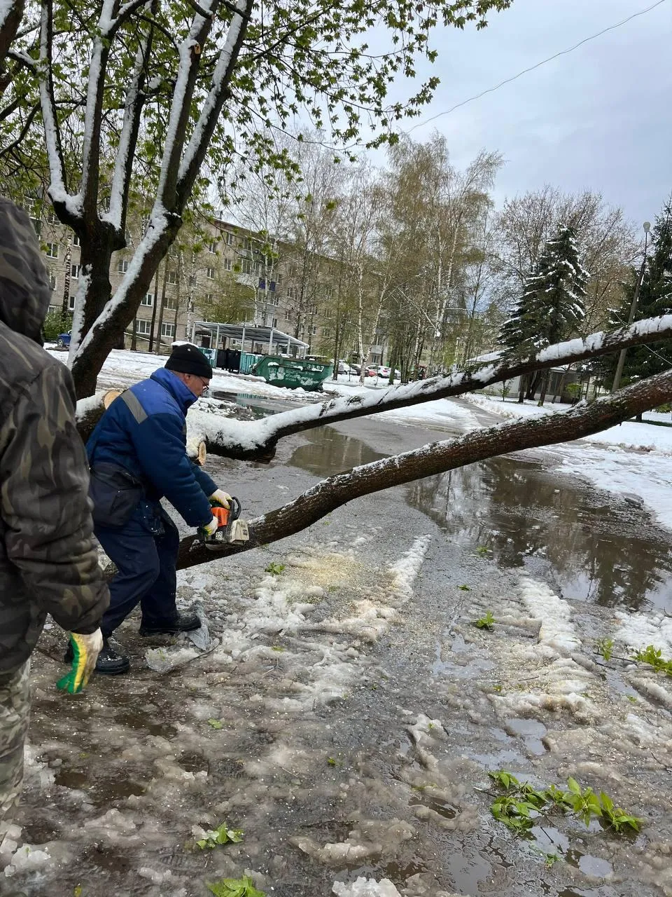 Глава Талдомского городского округа Юрий Крупенин