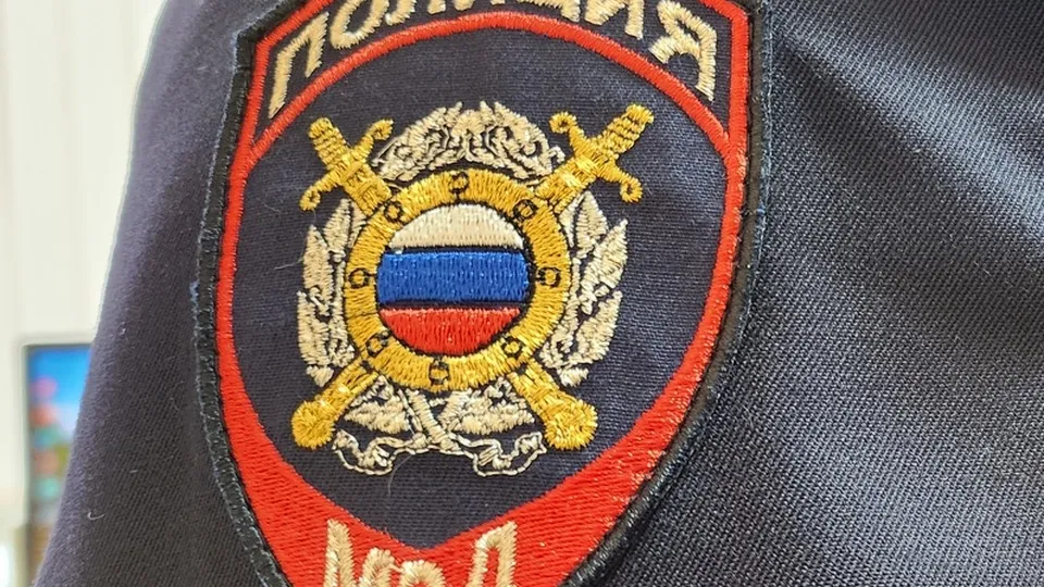 Фото: МедиаБанк Подмосковья/Ольга Аввакумова
