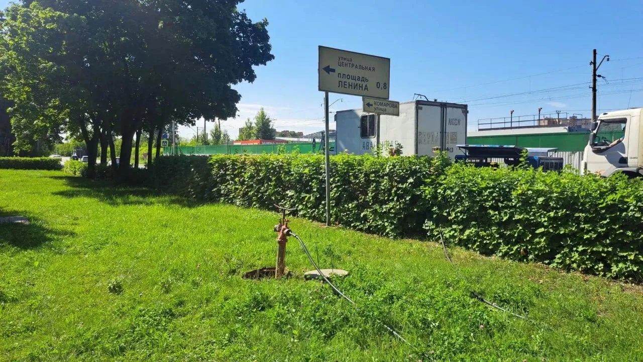 Картинка
