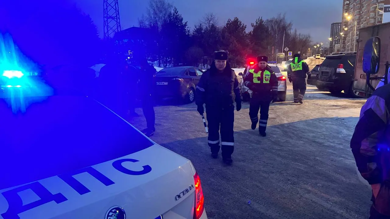 Источник:Главное управление региональной безопасности Московской области
