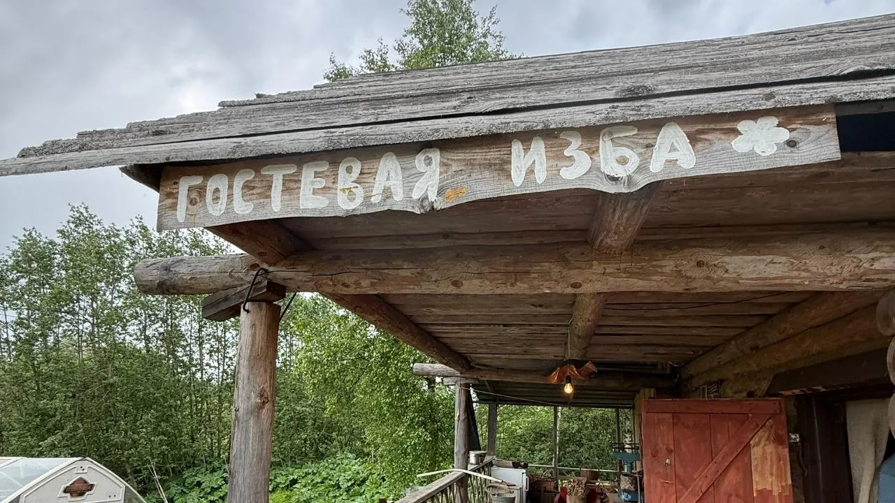 Картинка