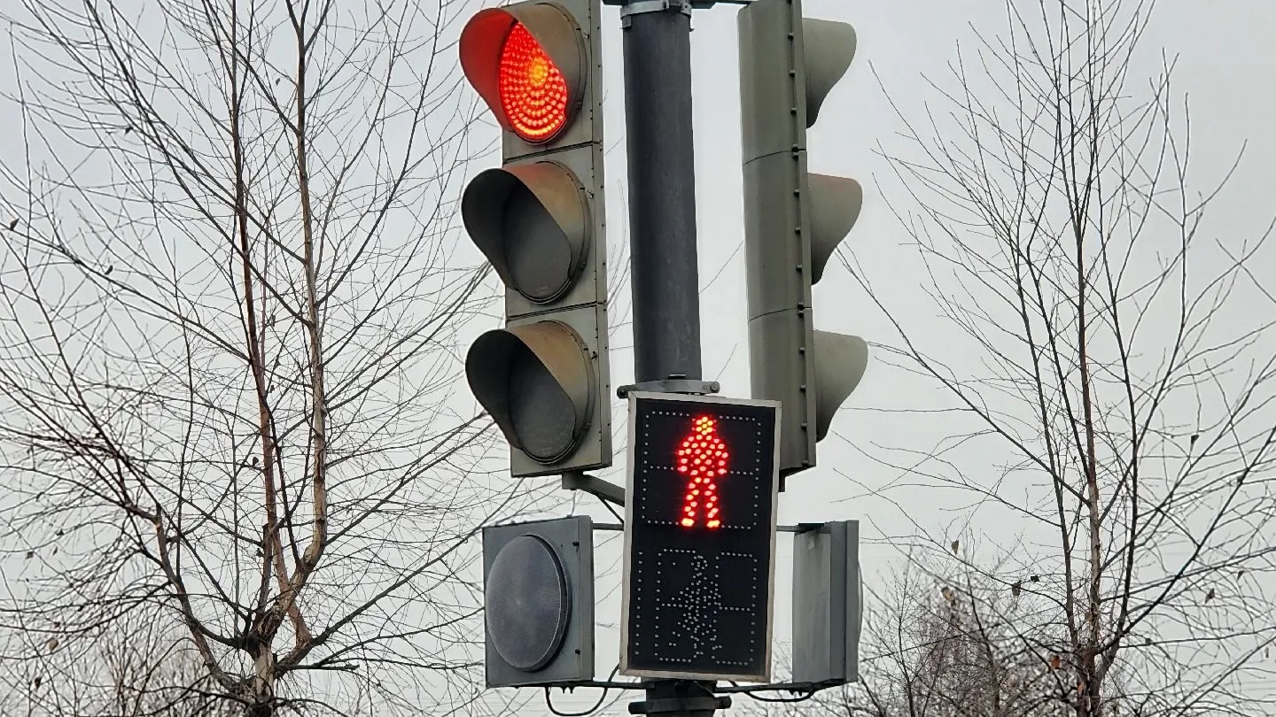 Фото: МедиаБанк Подмосковья/Валерия Исаева