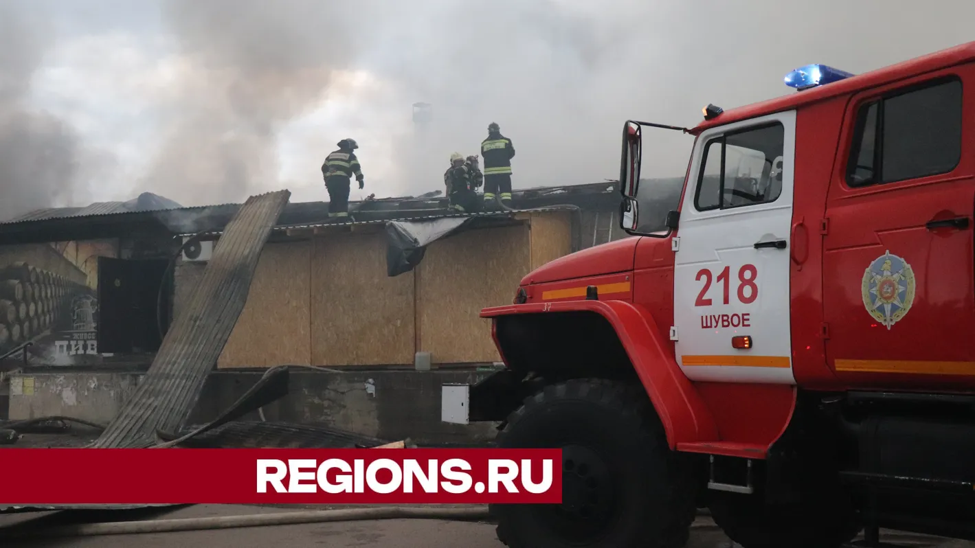 Фото: Regions / Василий Тремасов
