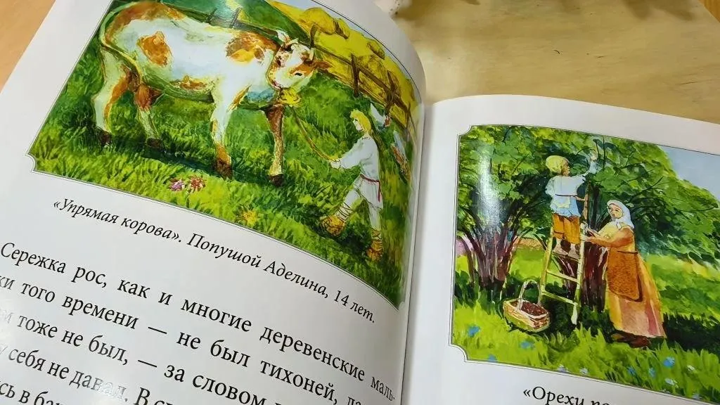 Картинка