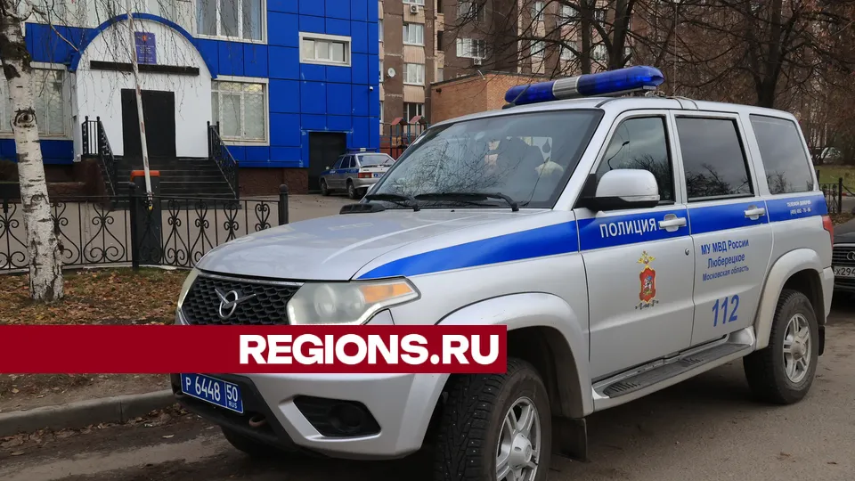 Фото: Алексей Грызлов