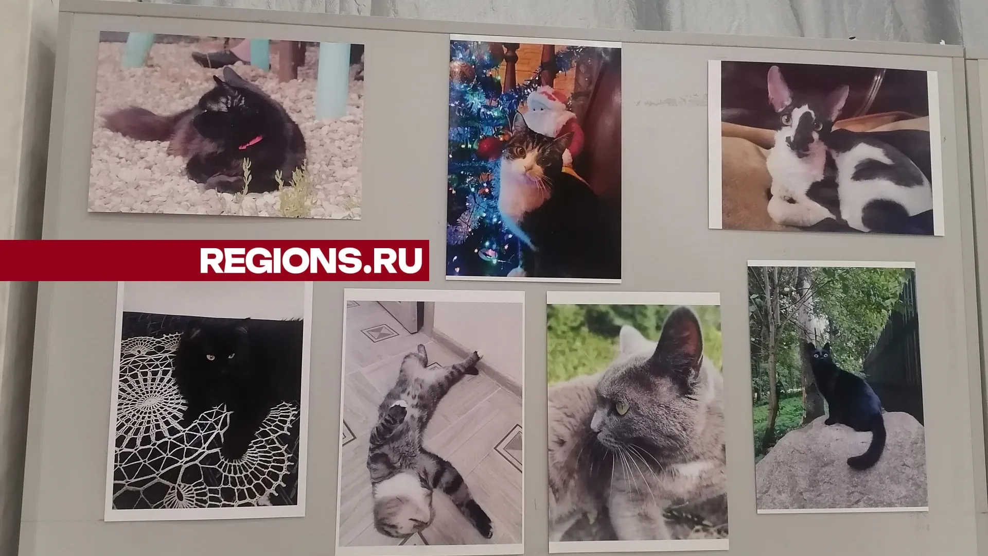 Фото: Юлия Смагринская