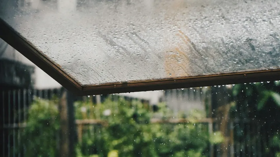 Фото: unsplash.com