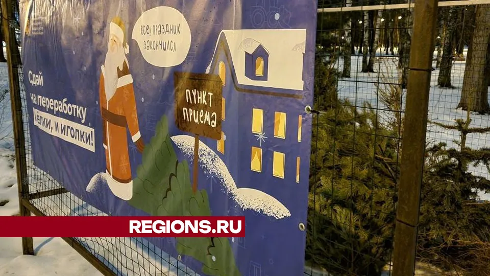 Фото: REGIONS/Юлия Алабина