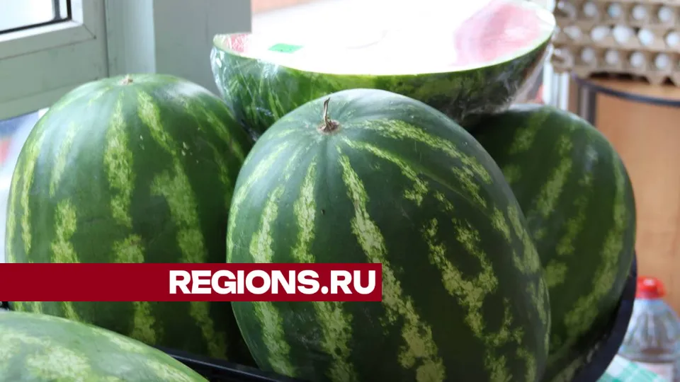 Фото: Марат Алиев