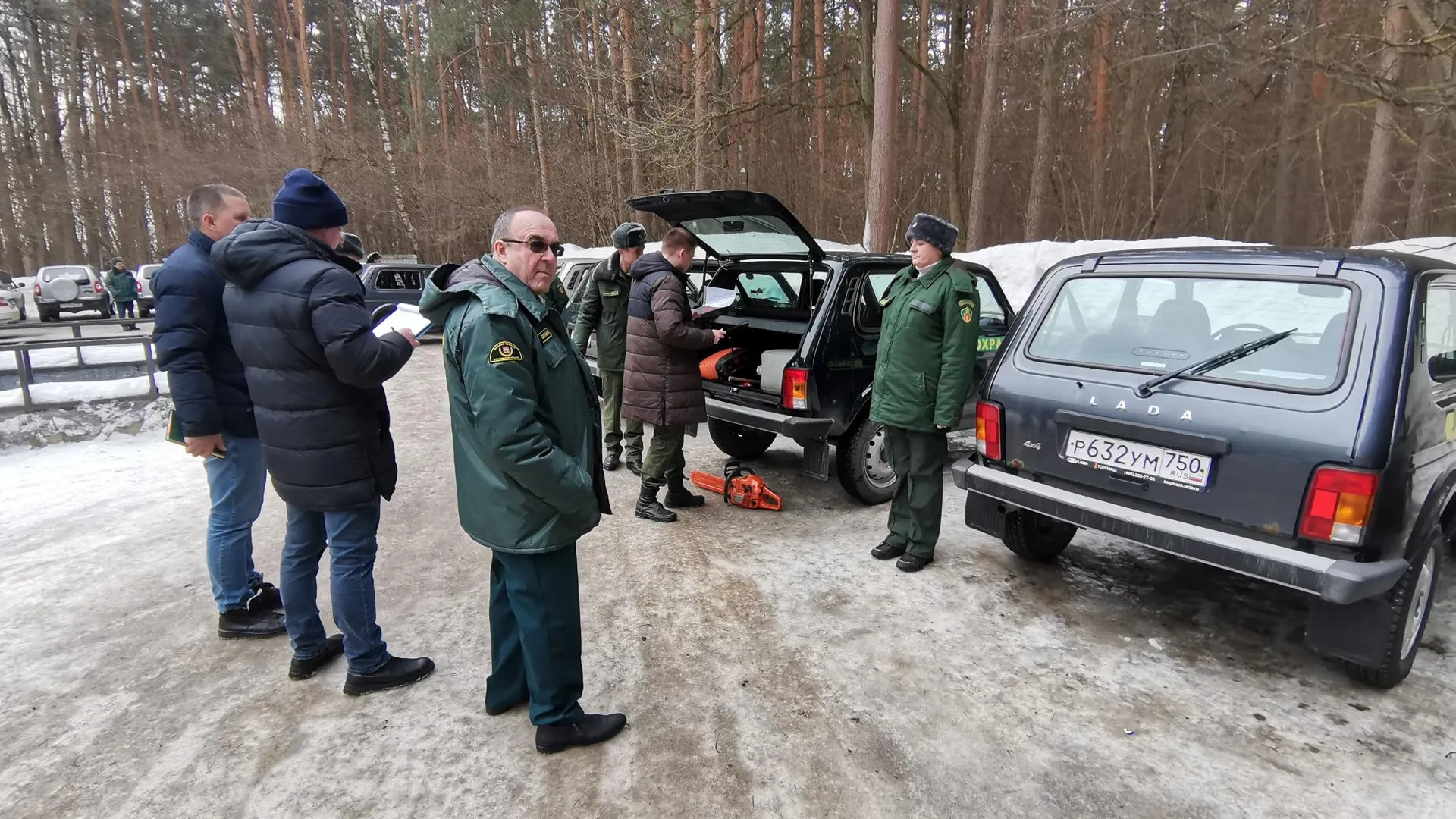 Фото: Комитет лесного хозяйства
