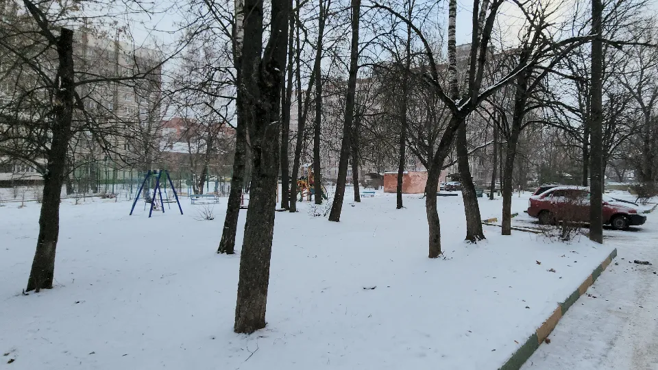 Фото: МедиаБанк Подмосковья/Валерий Гореловский&nbsp;