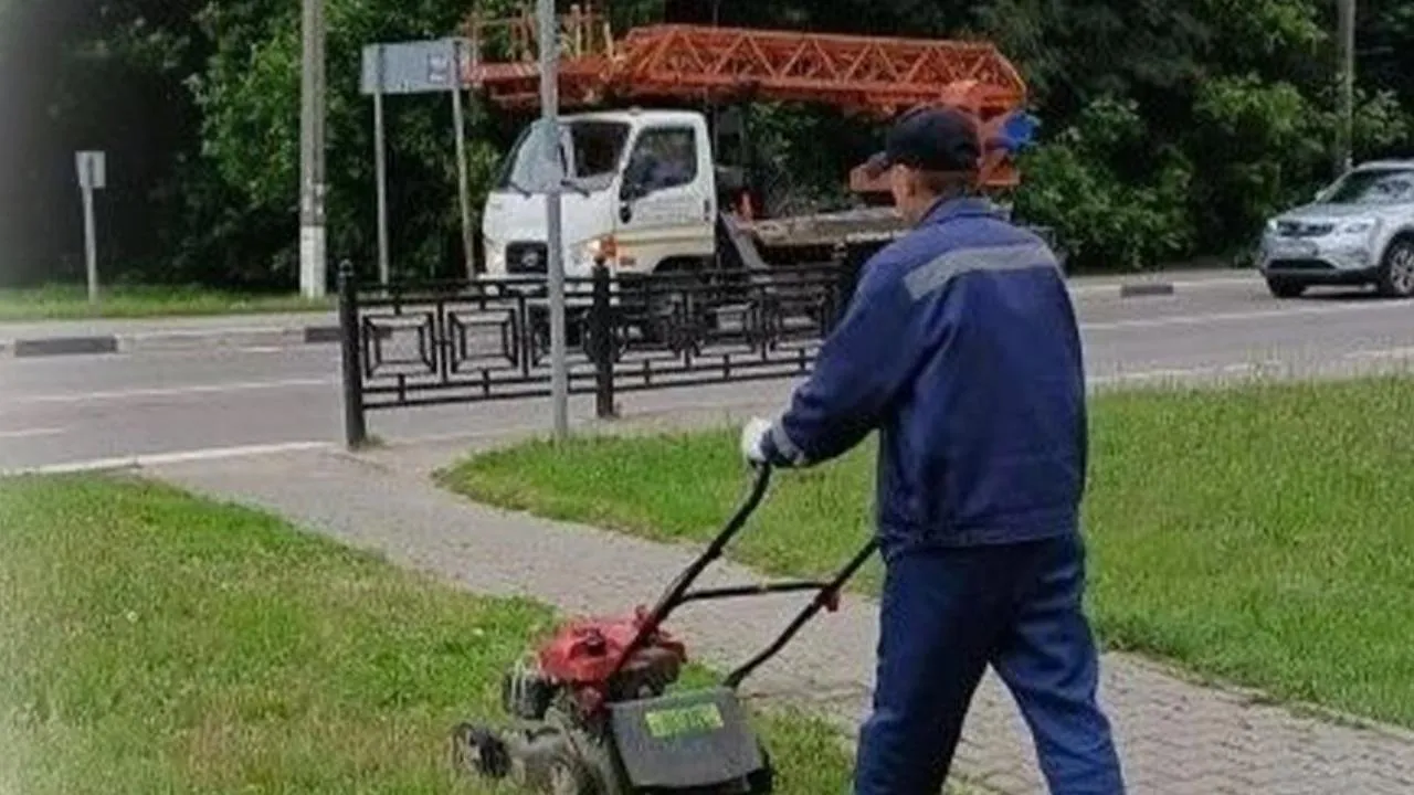 Картинка