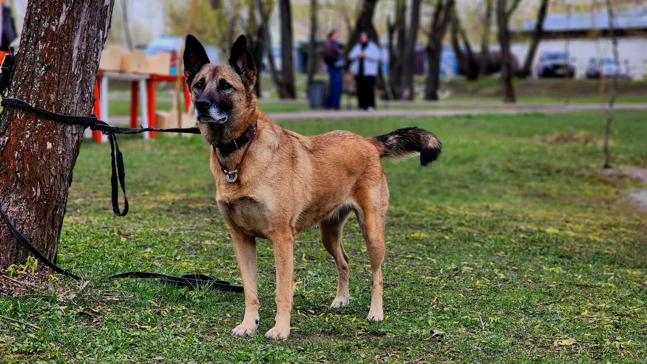 Картинка