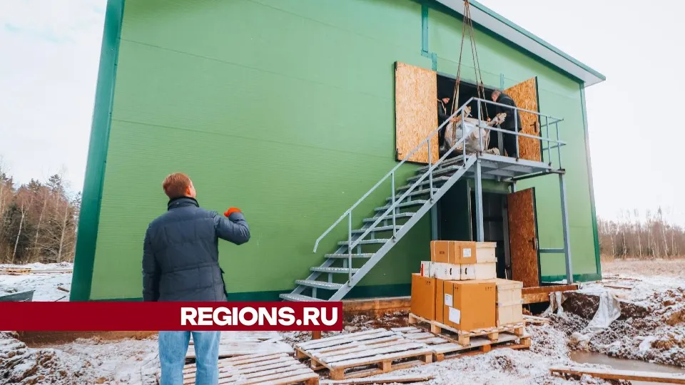 Фото: МедиаБанк Подмосковья/Данила Кирьянов