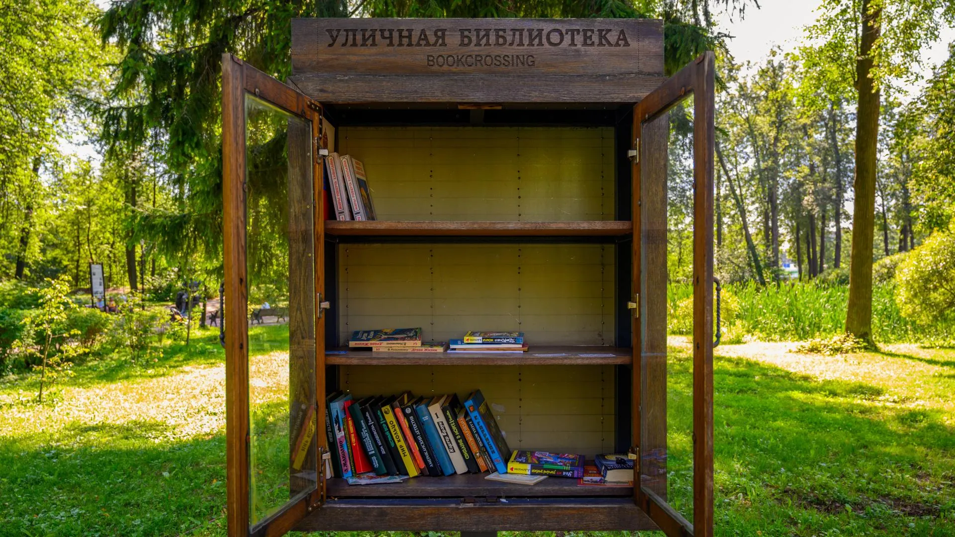 Картинка