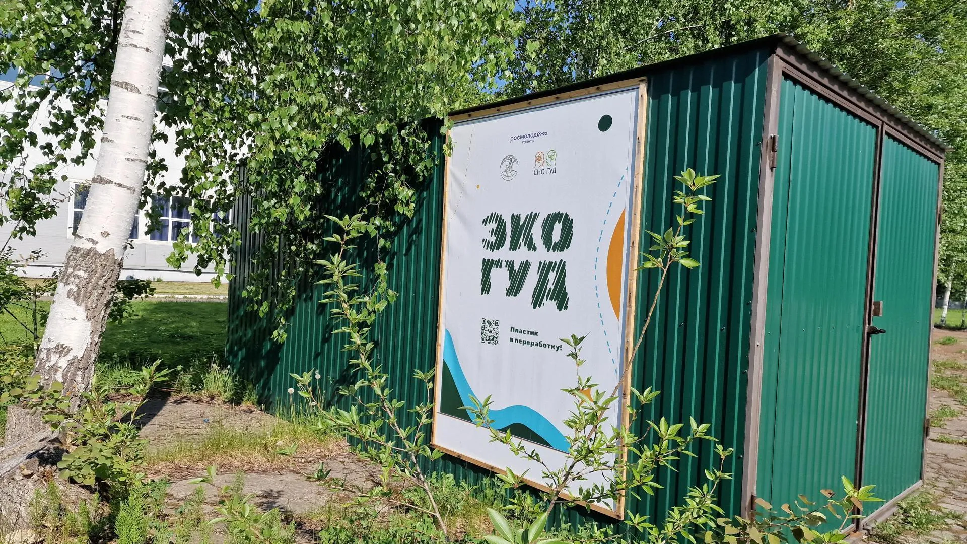 Картинка