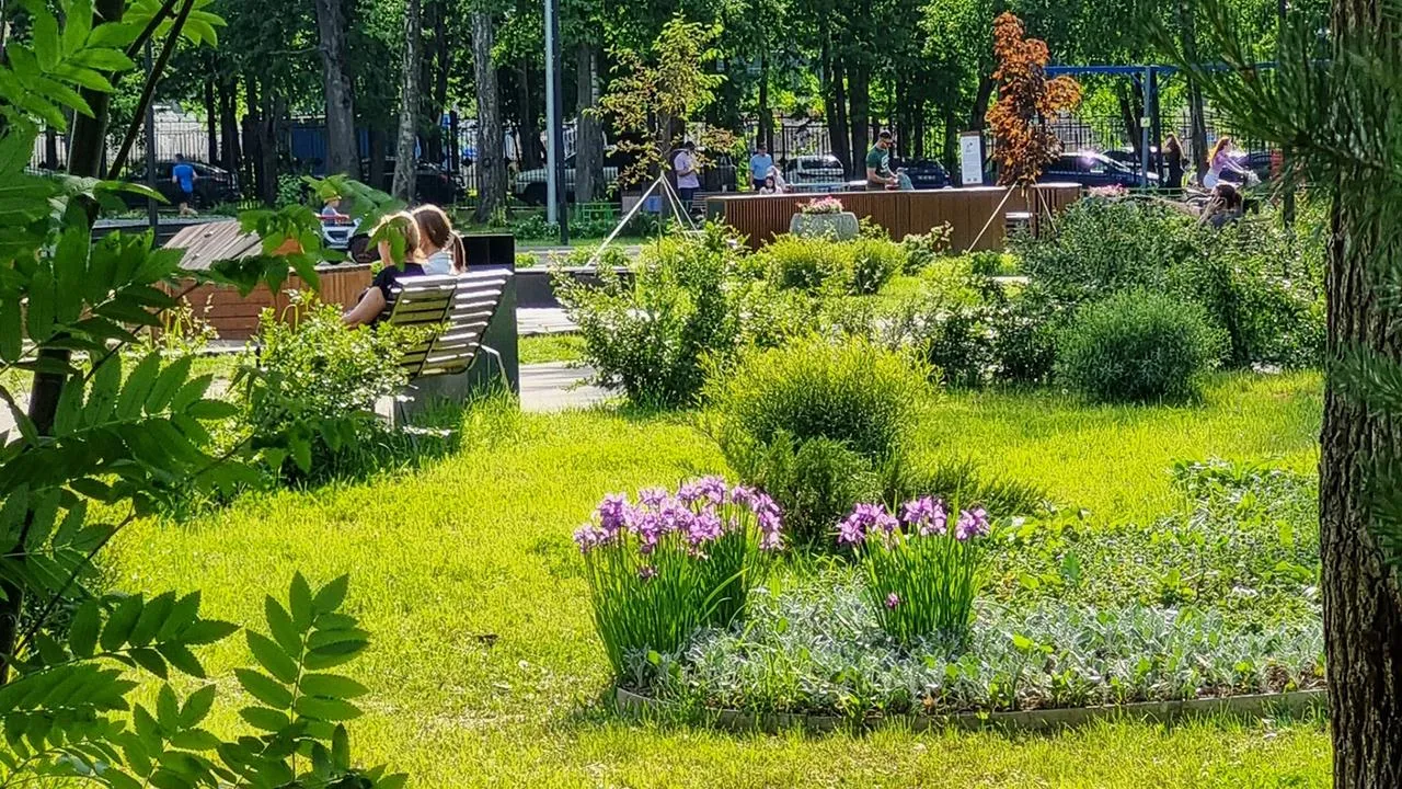 Картинка