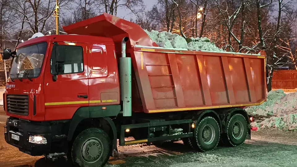 Фото: Медиабанк Подмосковья/Екатерина Дятловская