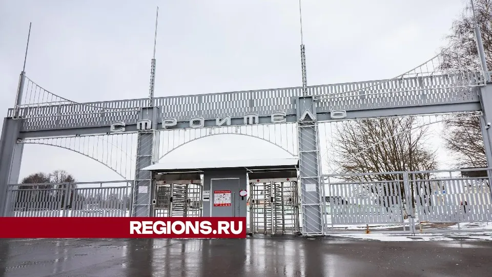 Фото: МедиаБанк Подмосковья/Данила Кирьянов
