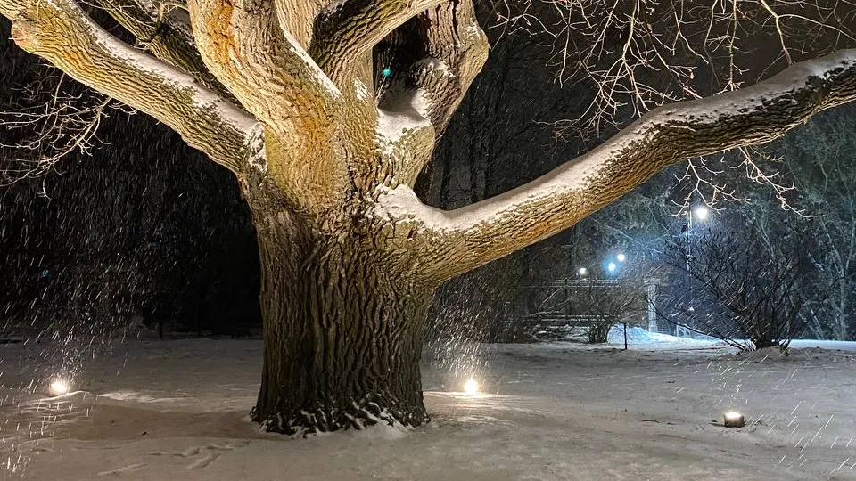 Фото: Наталья Дорофеева