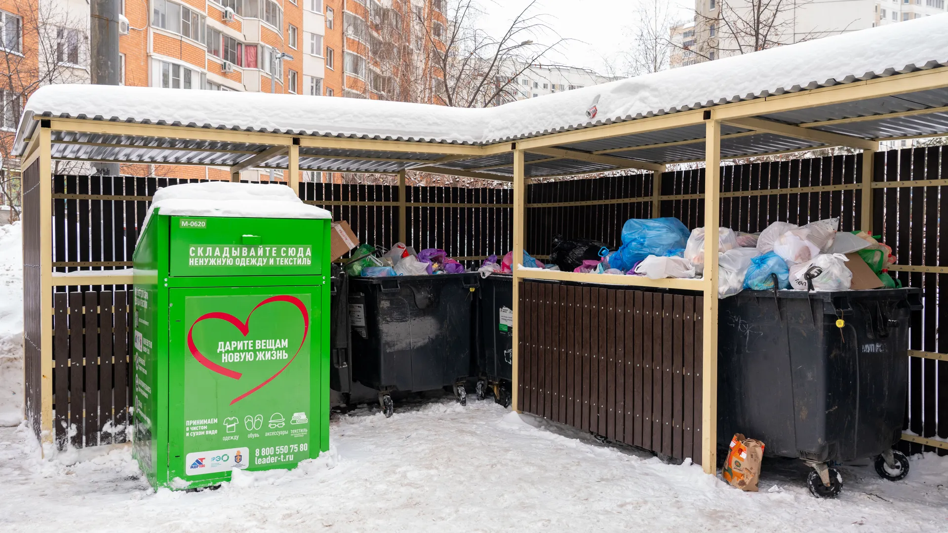Хлам, парковка на газоне и собачьи прогулки: за что суд может лишить жилья нерадивых соседей