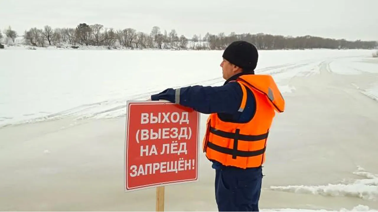 Фото: ГКУ МО «Мособлпожспас»