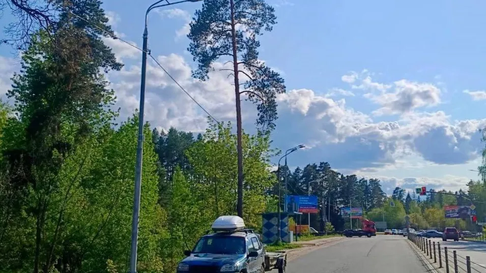 Фото: Минтранс Московской области