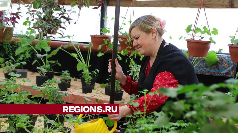 Фото: Максим Лысов
