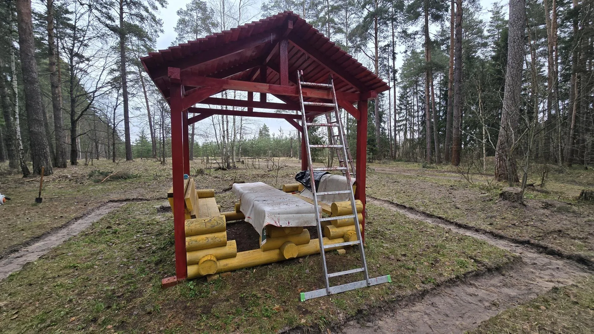 Картинка