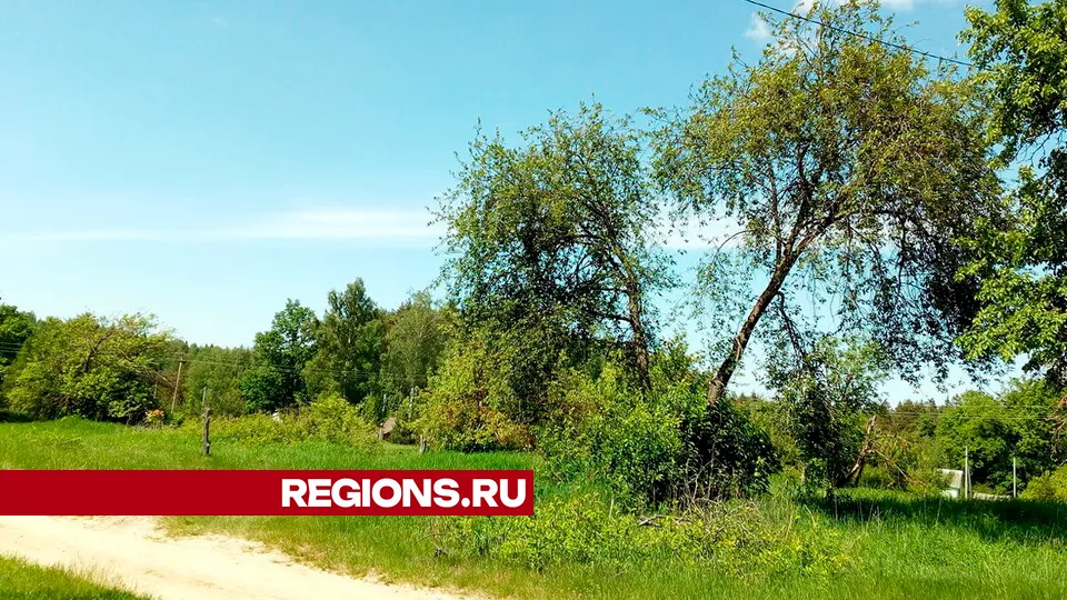 Фото: REGIONS/Василий Тремасов