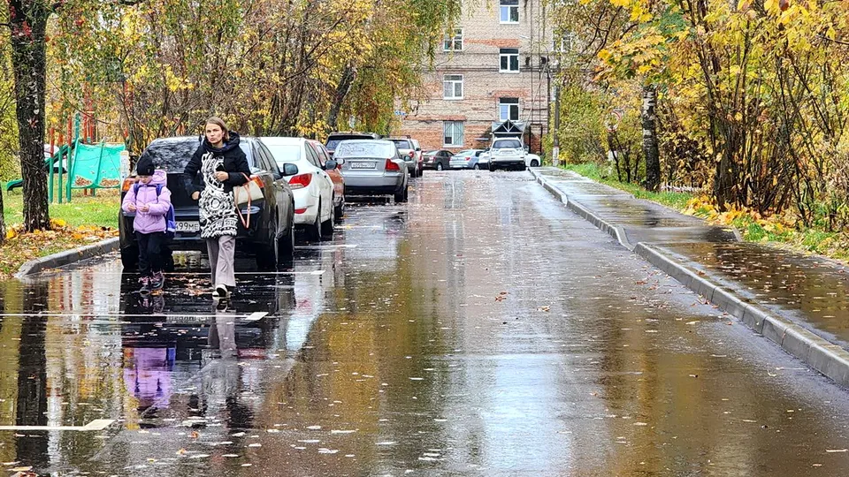 Фото: МедиаБанк Подмосковья/Ксения Пашуто