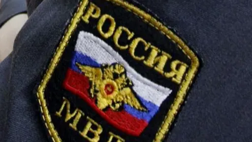 фото ГУ МВД России по Московской области