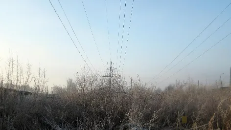 Фото: Медиабанк МО