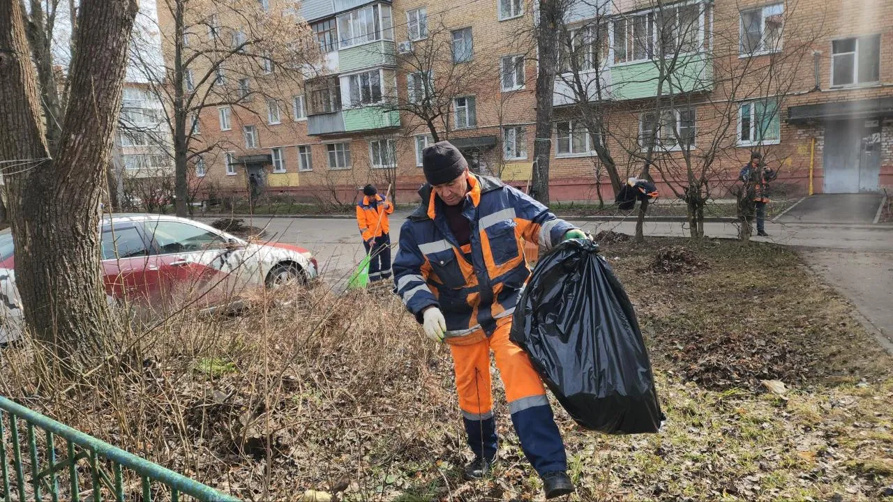 Картинка