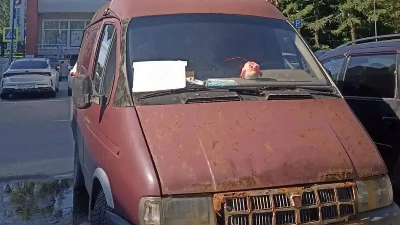Картинка