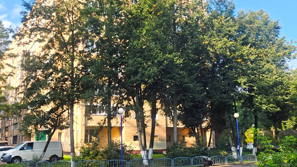 Фото: МедиаБанк Подмосковья/Хавива Фонина
