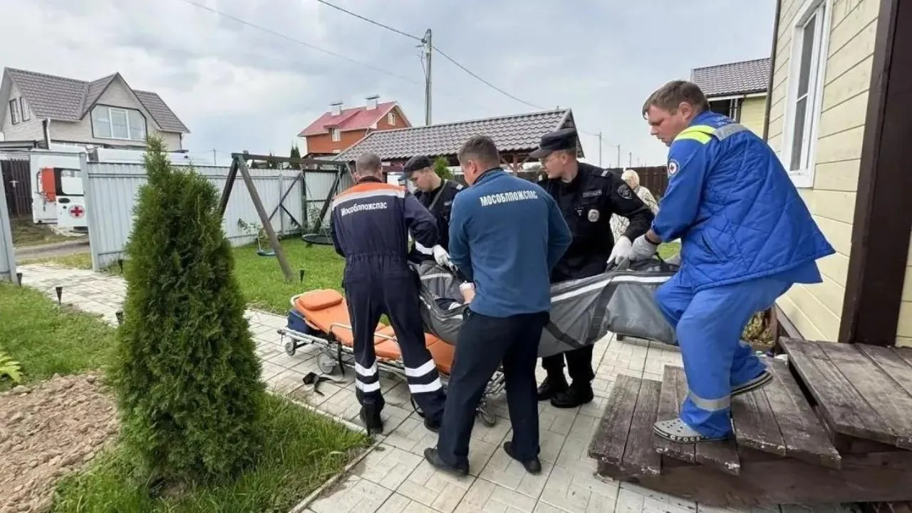 Картинка