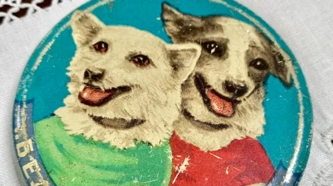 Картинка