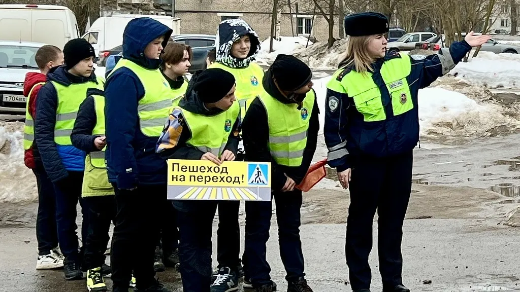 Фото: Госавтоинспекция по Орехово-Зуевскому округу