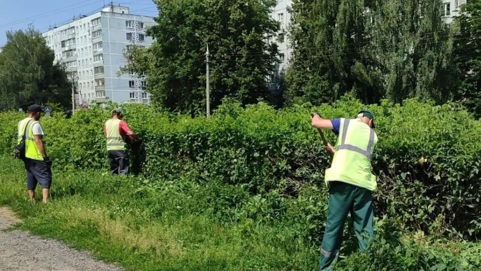 Фото: Министерство по содержанию территорий и государственному жилищному надзору МО