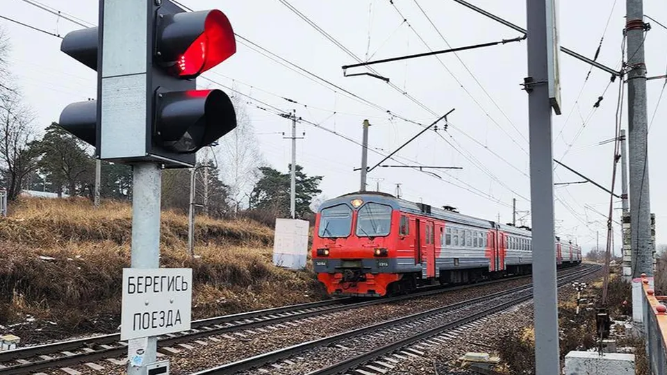 Фото: МедиаБанк Подмосковья/Андрей Семибратов