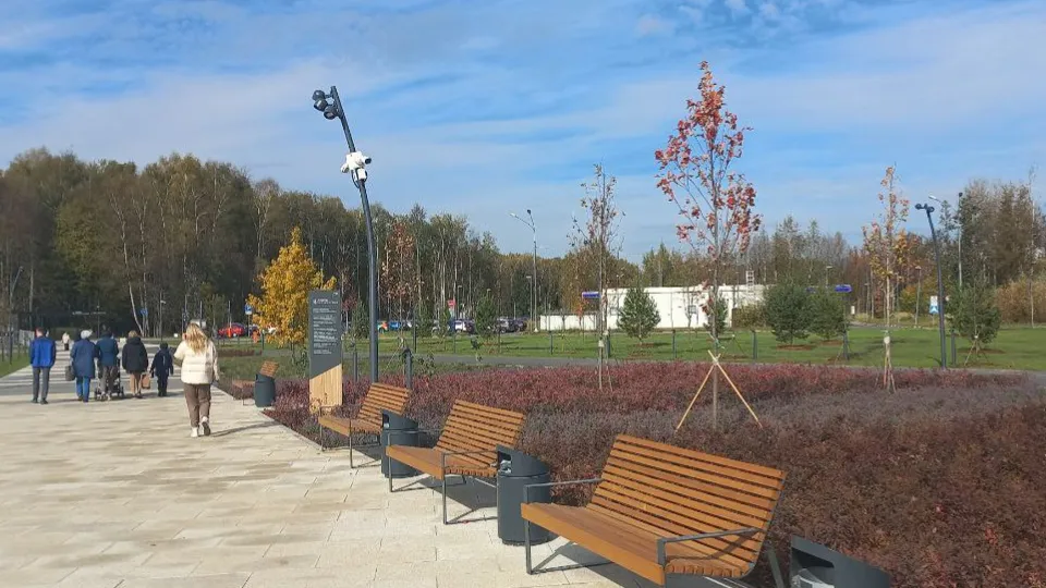 Сквер у входа в парк «Авангард». Октябрь 2025 года. Фото: REGIONS/Олег Книжник