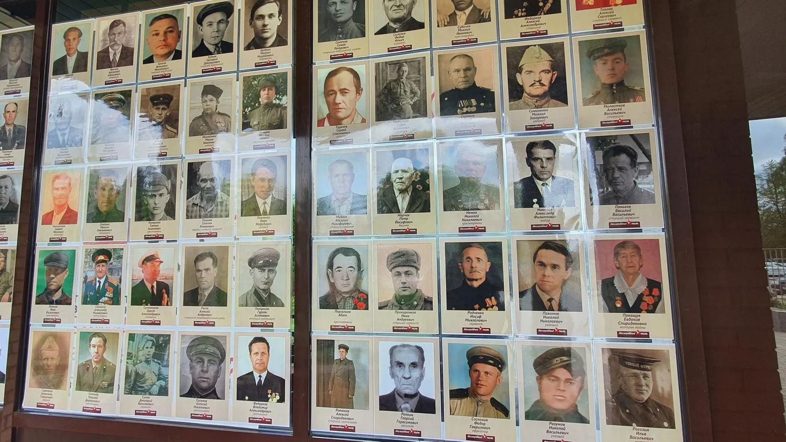 Фото: Н. Надточая