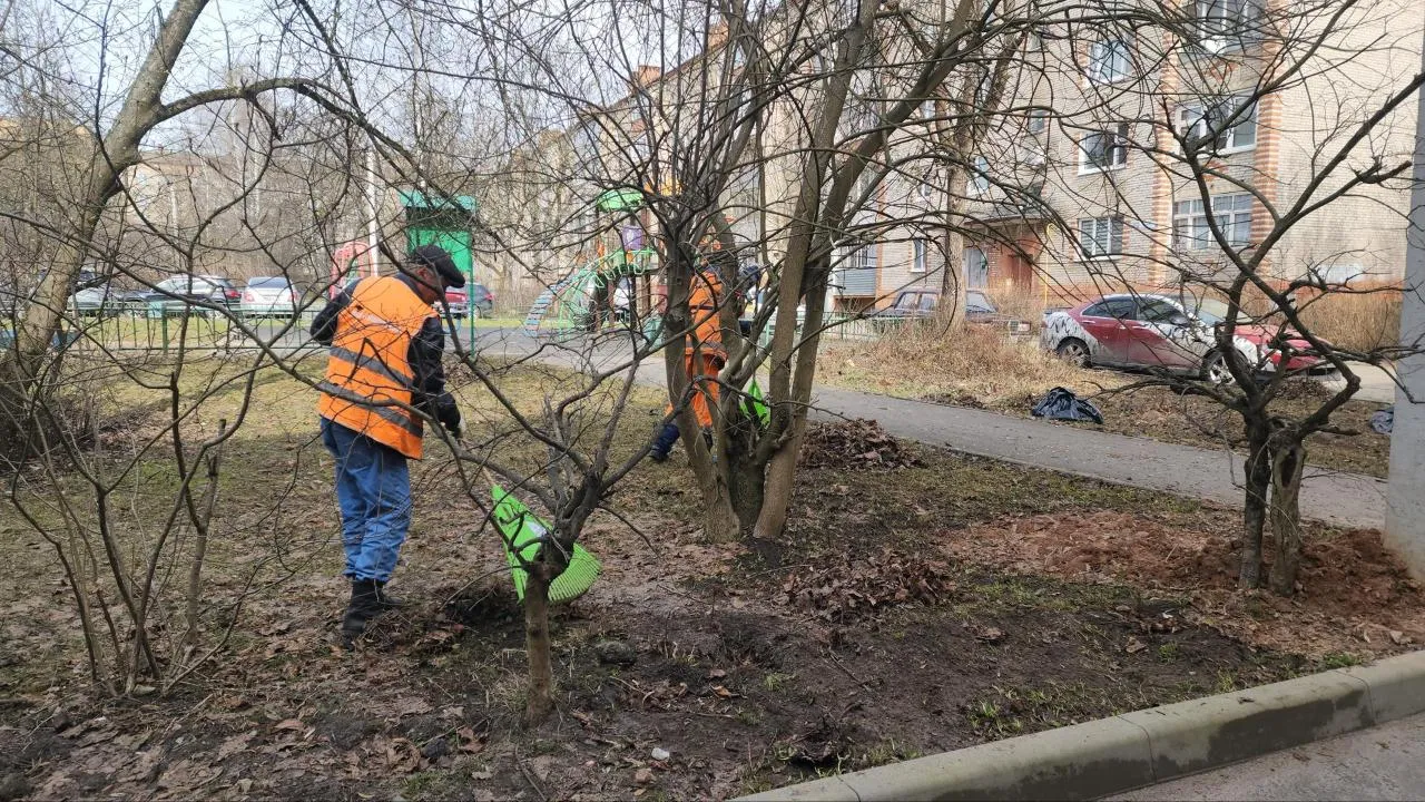 Картинка