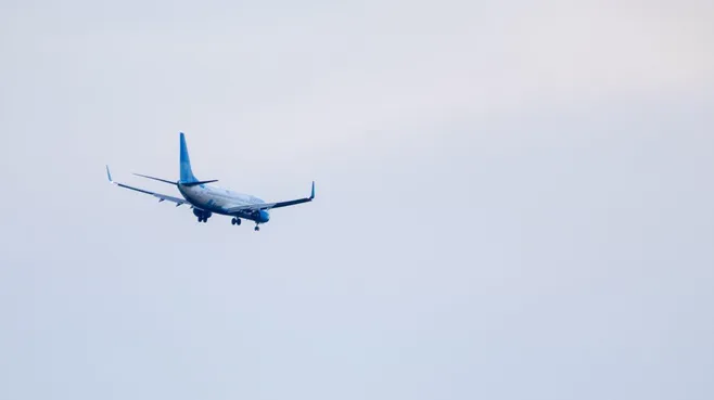 Пассажирка Flydubai показала видео после нападения на борту