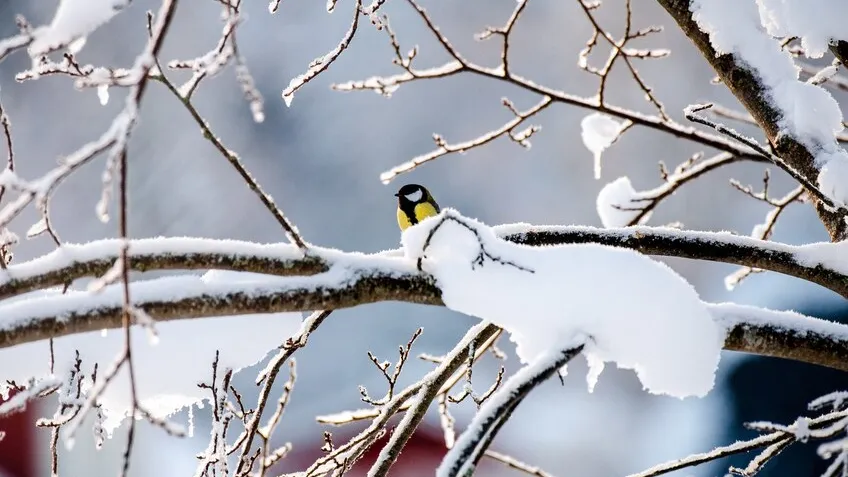 Фото: freepik.com